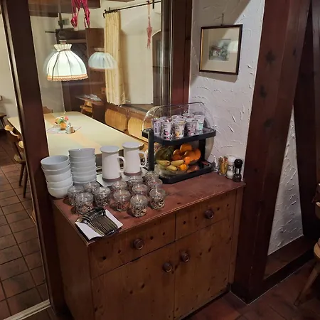 Stein Gofis